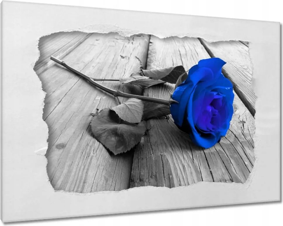 Vászonkép 90x60 Kék rózsa Ajándék