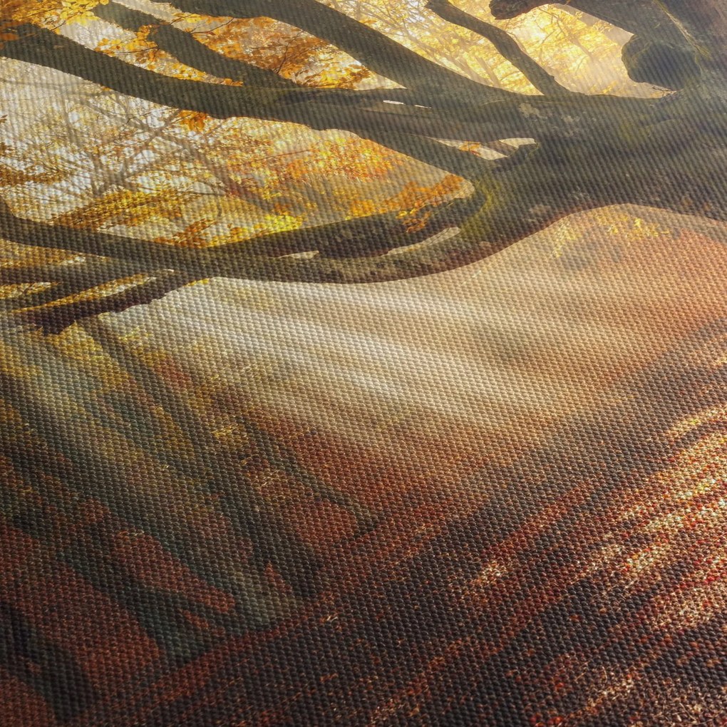 Kép - Őszi fény (órával) (90x30 cm)