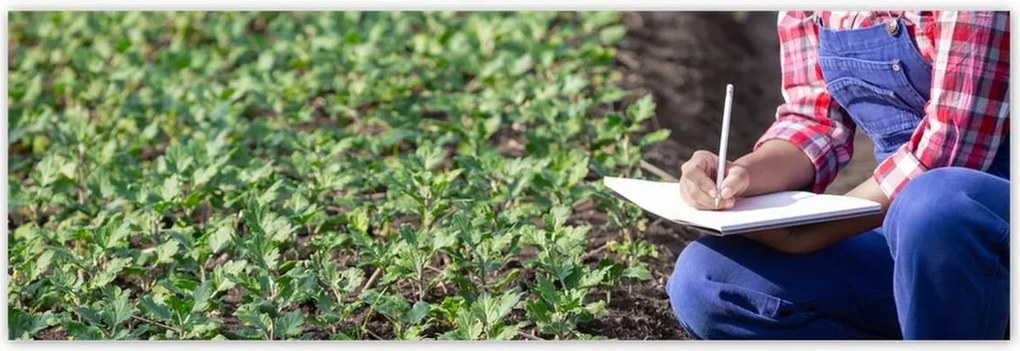 Poszterek 200x66 Modern mezőgazdaság