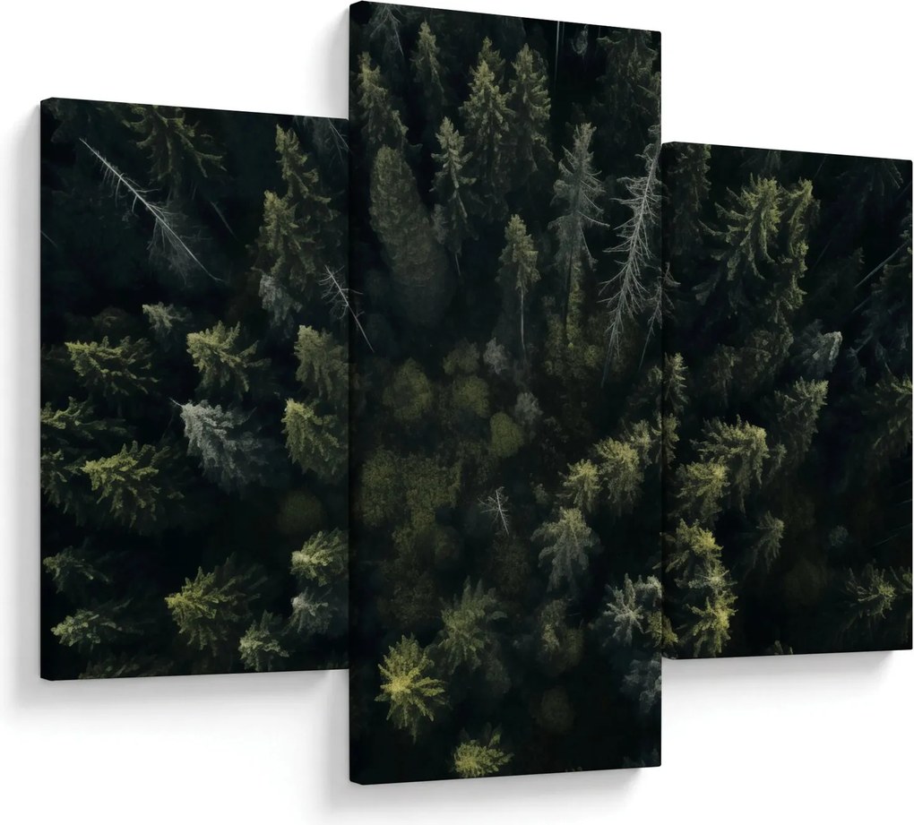 Kép - Forest (90x60 cm)