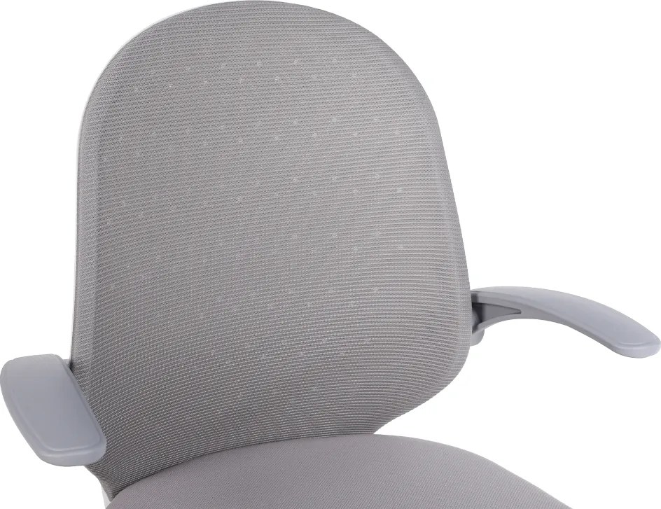 Irodai szék, szürke/fehér, PASTURA