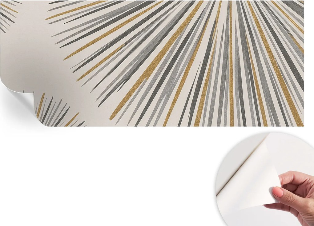 Fali fotótapéta Hálószobába Nappaliba Geometrikus legyezők 250x104 cm