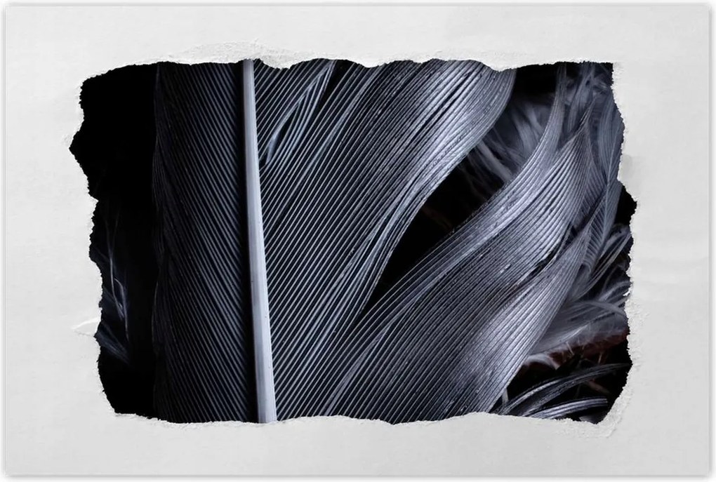 Poszterek 60x40 Fekete toll közelkép