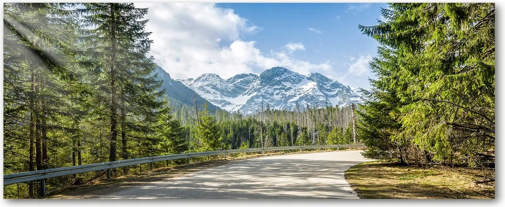 Modern üvegpanel a konyhába Tátra út XXL