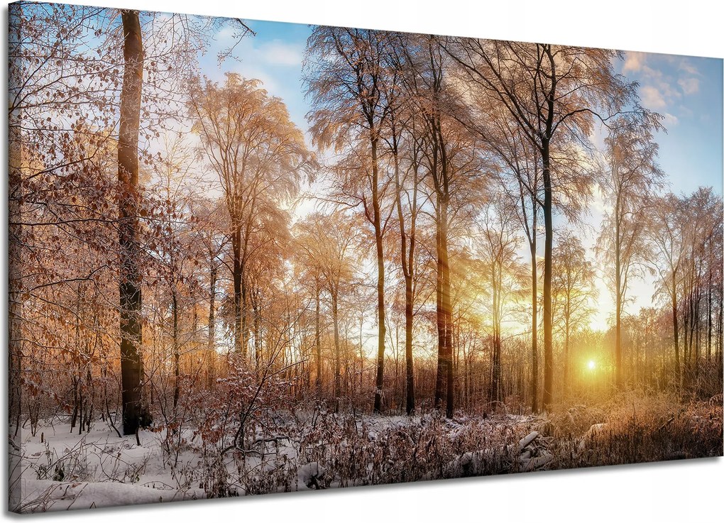 Vászonkép Fák Tél Felkelő Nap 120x70 cm Ideális ajándék