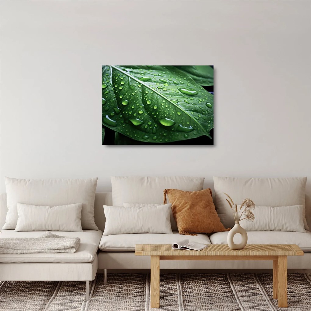 Üveg kép - Részlet levél eső után (70x50 cm)