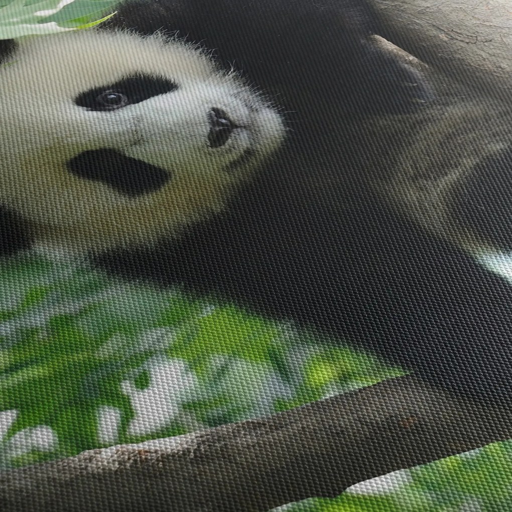 Kép - Panda a fán (órával) (90x30 cm)