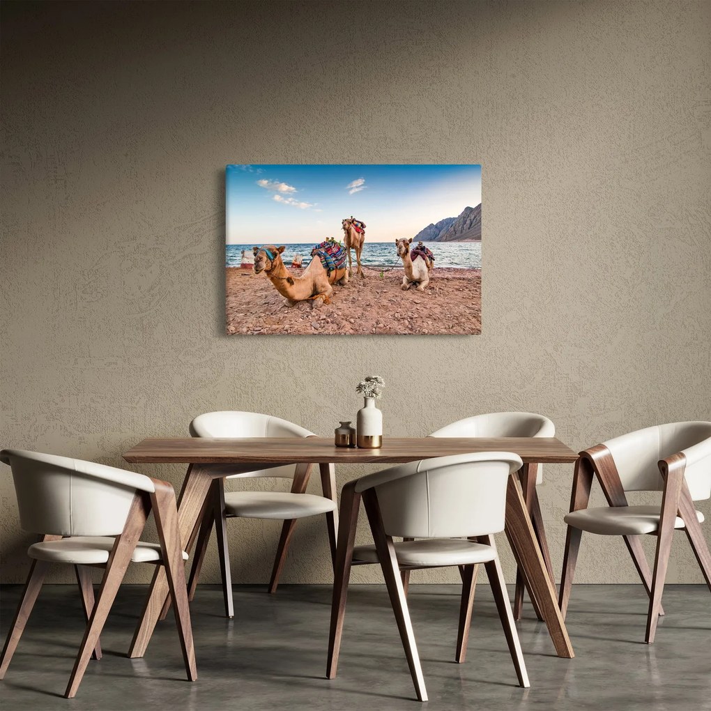 A tevék képe (90x60 cm)
