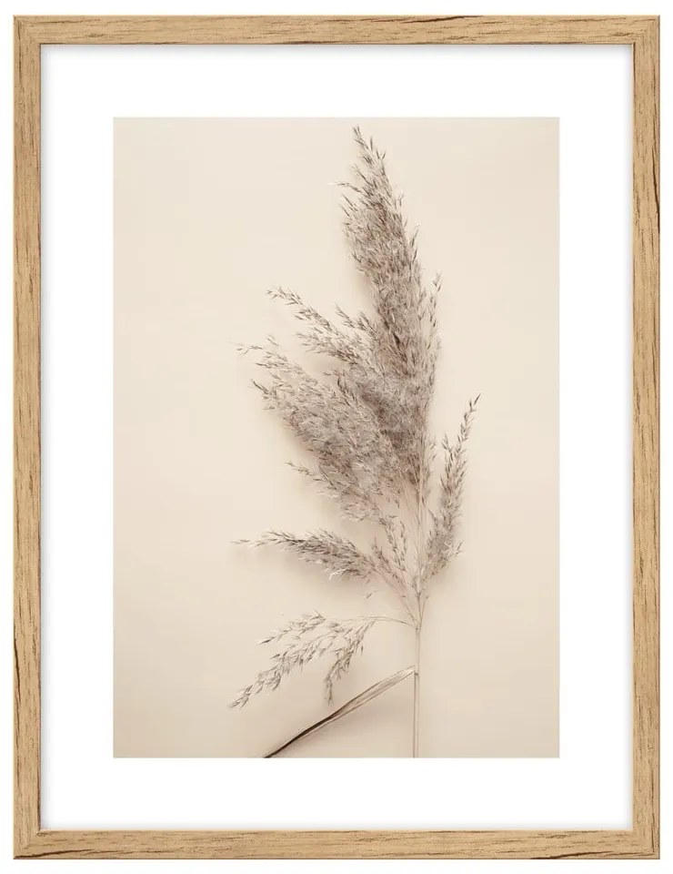 Kép 30x40 cm Grass – knor
