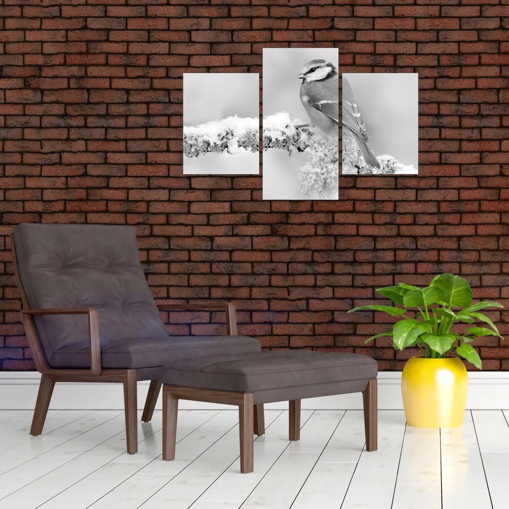 Kép - Egy madár egy ágon (90x60 cm)