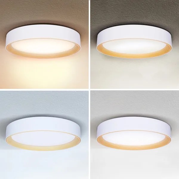 Brilagi -LED Dimmelhető lámpa LARIOS LED/60W/230V 3000-6500K ø 49 cm fehér + távirányító