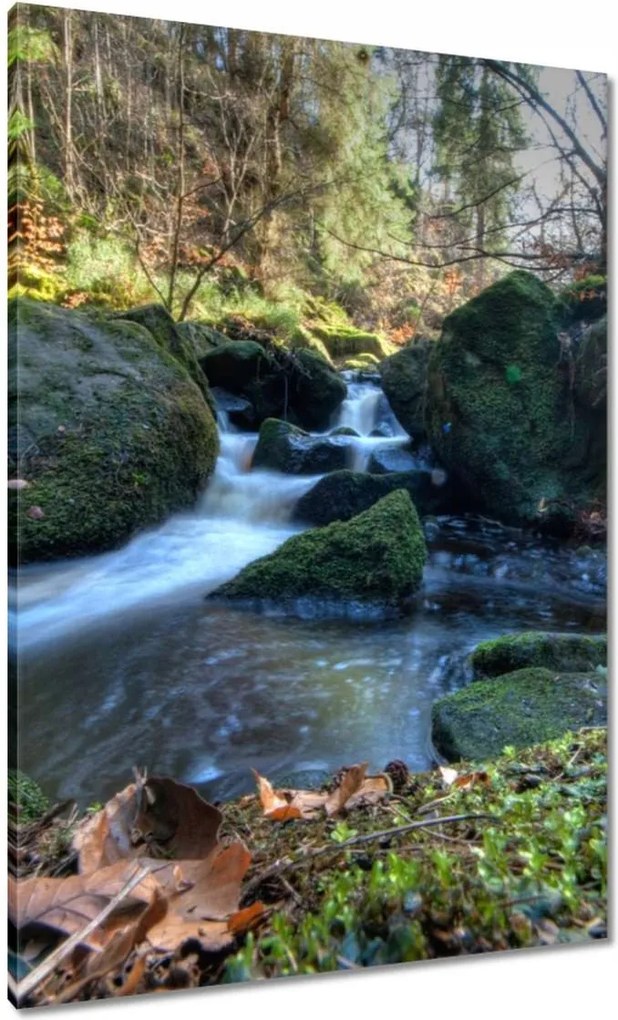 Vászonkép 70x100 Kéz a hegyekben