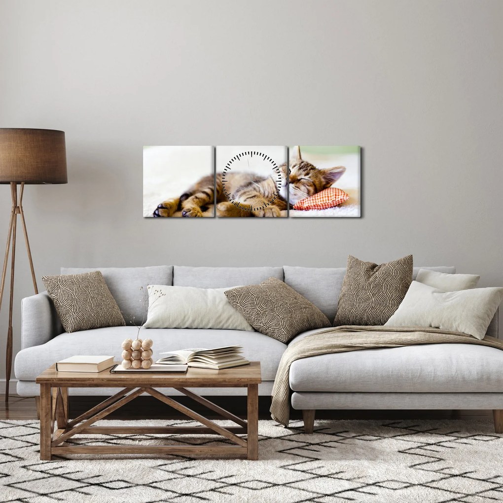 Kép - alvó cica (órával) (90x30 cm)