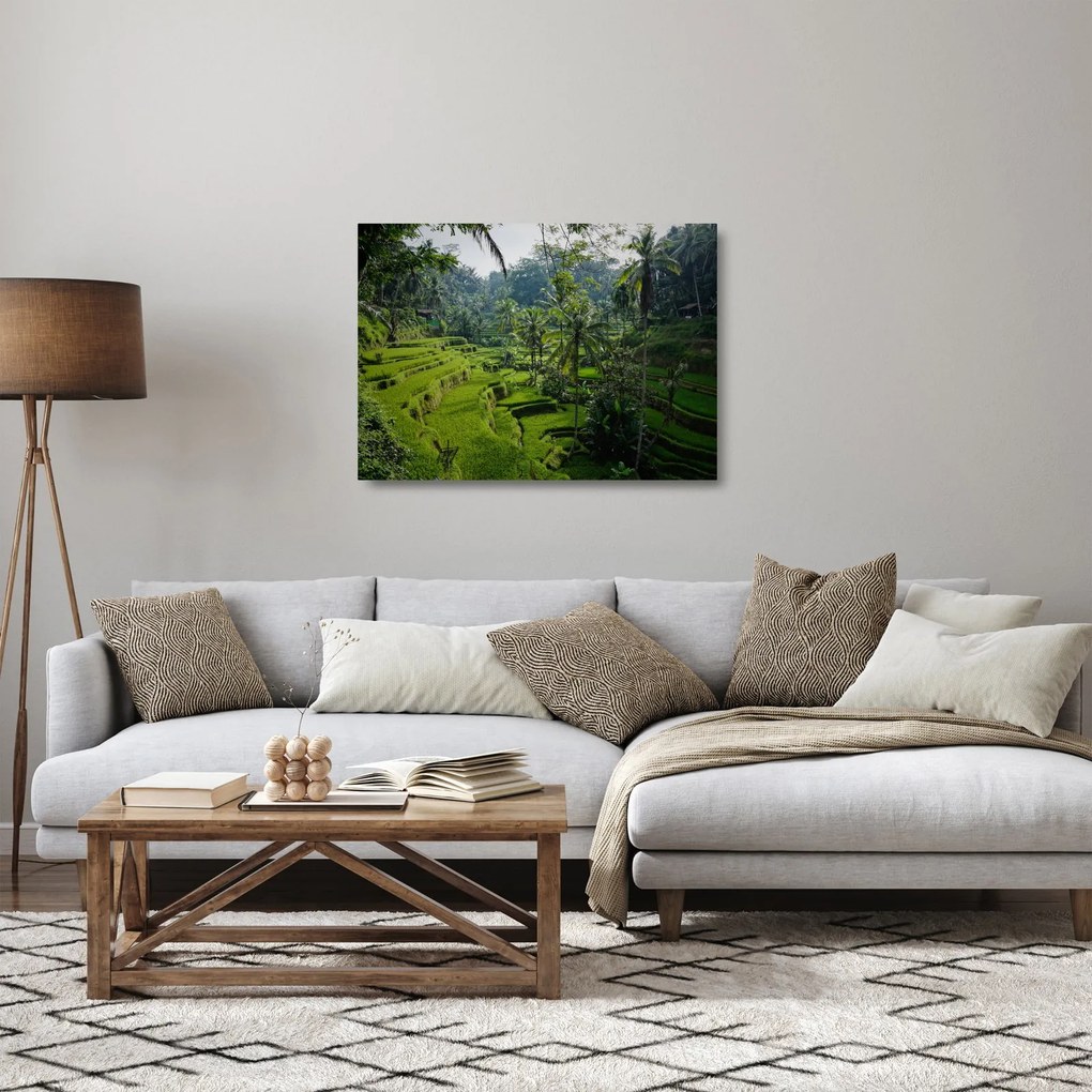 Kép a rizs teraszokról, Tegalalang, Bal (üvegen) (70x50 cm)