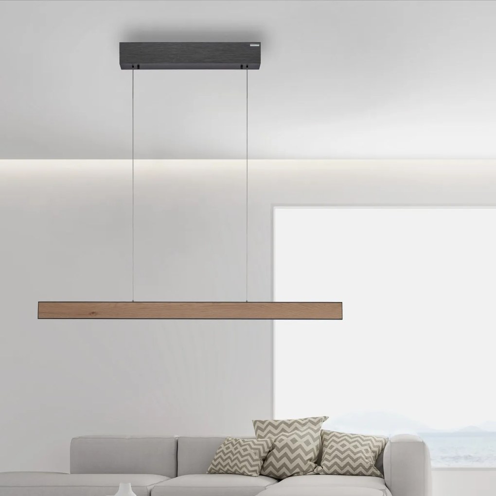 Paul Neuhaus modern skandináv függeszték pure e-motion fekete fa pln2570-79