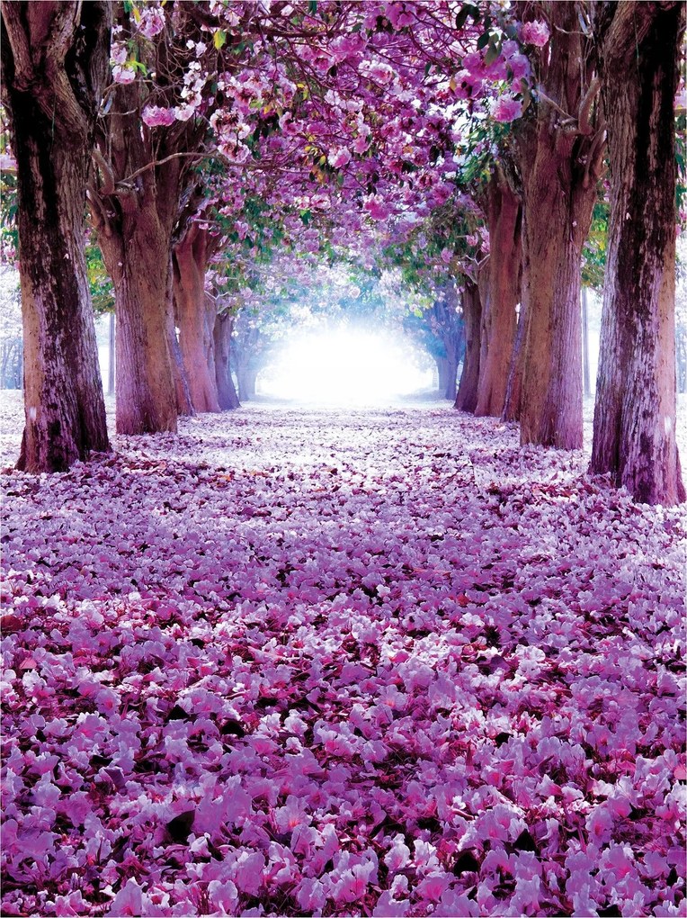 Fotótapéta Lila Virágos sikátor Álom alagút 184x254 vinil +ragasztó