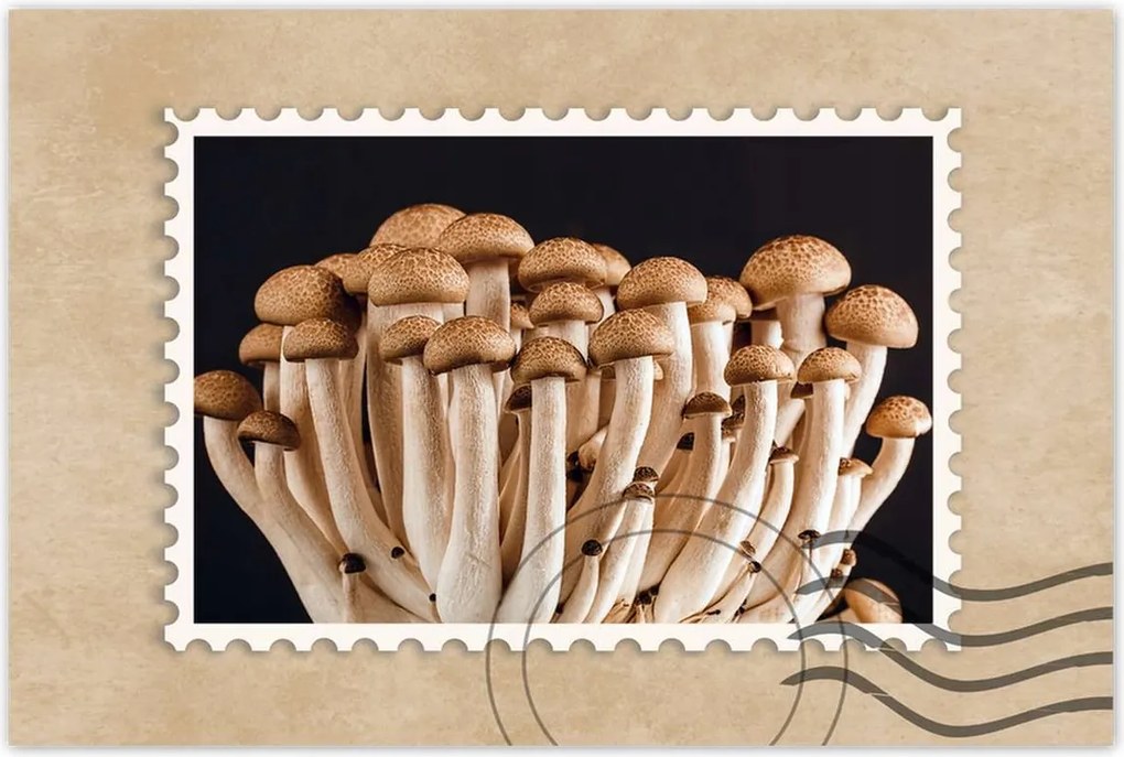 Poszterek 120x80 Gomba az erdőben Közelkép