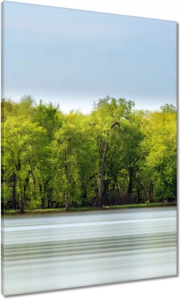 Vászonkép 70x100 Erdő Tó Ég