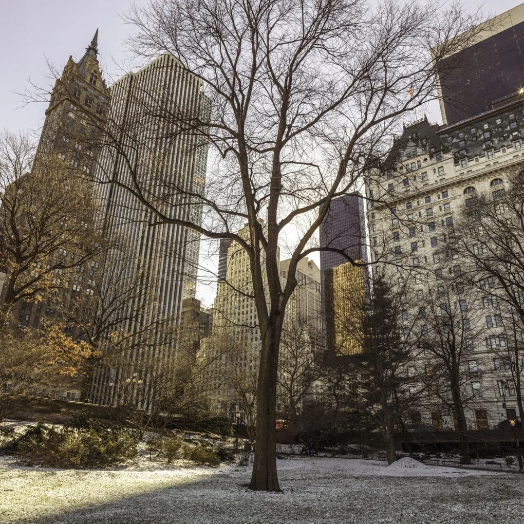 Poszter 60x60cm Központi park panorámával Alsó-Manhattan 2, Assaf Frank