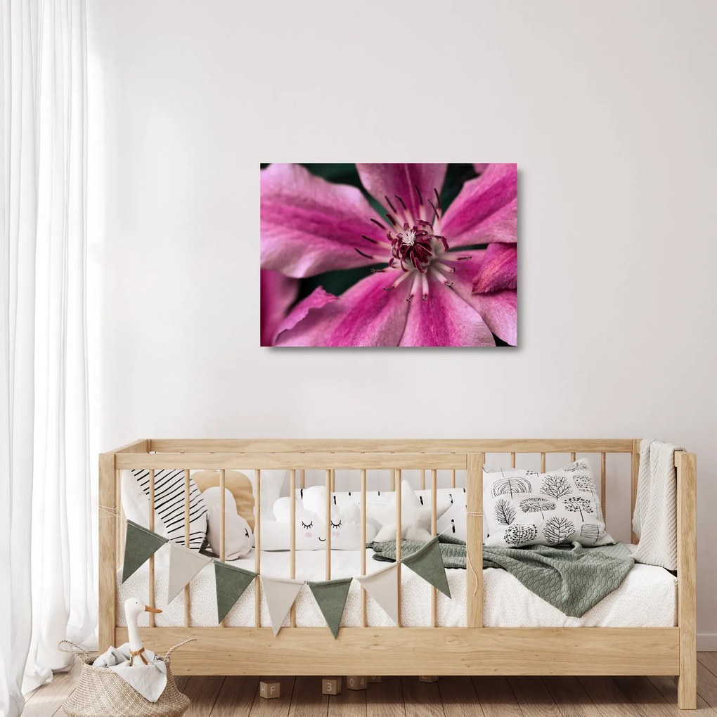 Rózsaszín flamingóvirág képe (üvegen) (70x50 cm)