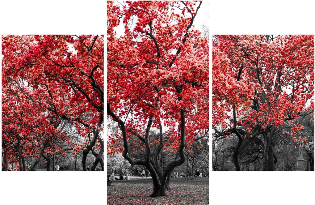 Kép - vörös fák, Central Park, New York (90x60 cm)