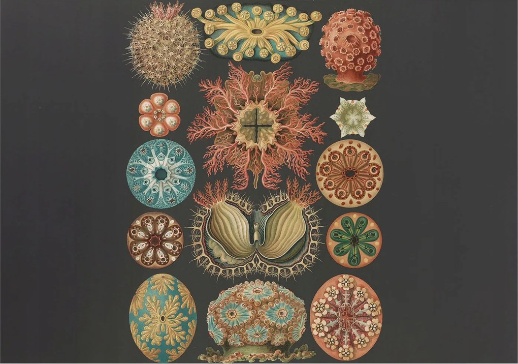 Fotótapéta Flizelin Fal a Hálószobába Tengeri inspirációk 208x146 Ragasztó