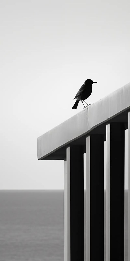 Poszter 50x100cm Magányos abszorbens