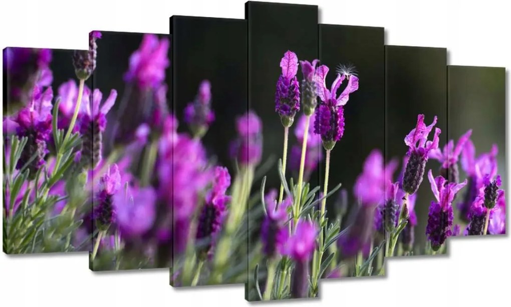 Vászonkép 140x80 Lila virágok