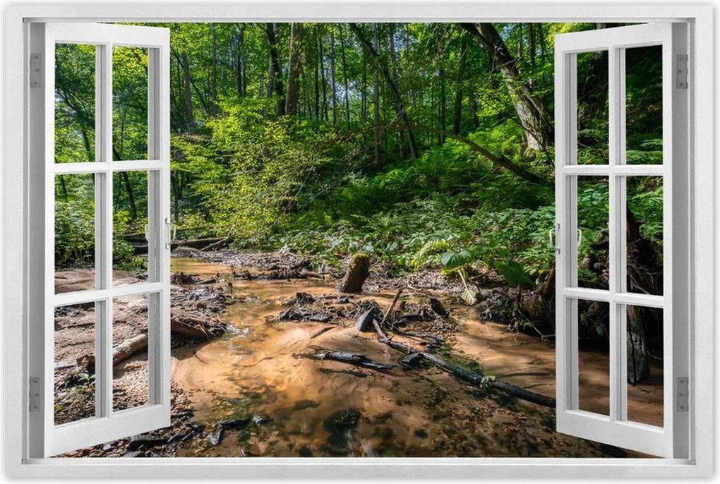 Poszterek 90x60 Folyó Trópusi erdő