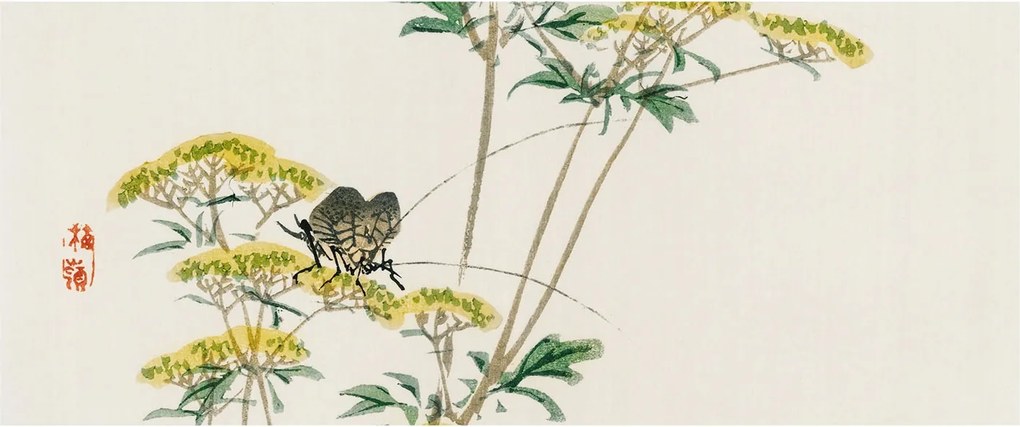 Dekoratív fotótapéta Falra Könnyű Összeszerelés Virágok természet 250x104 Ragasztó