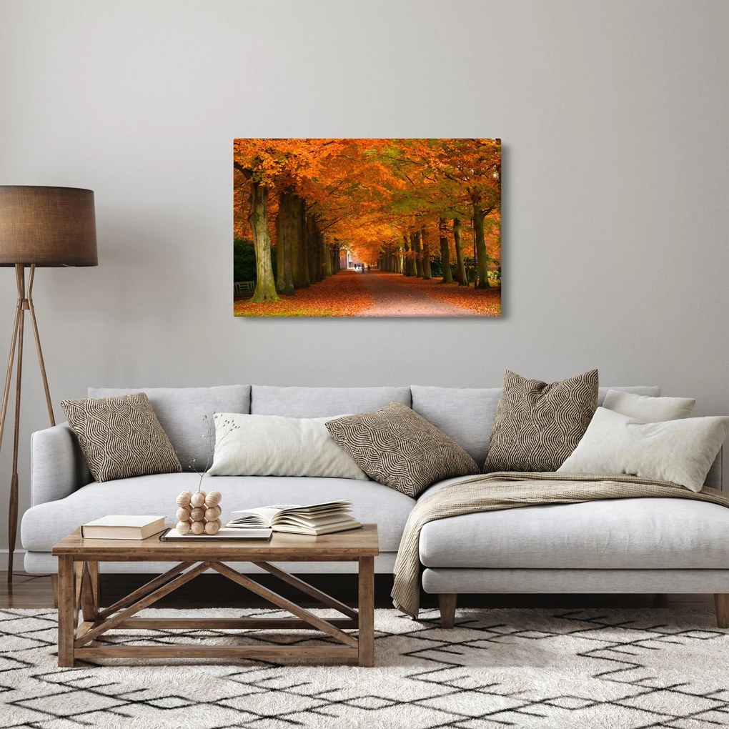 Kép - A Avenue of fák ősszel (90x60 cm)
