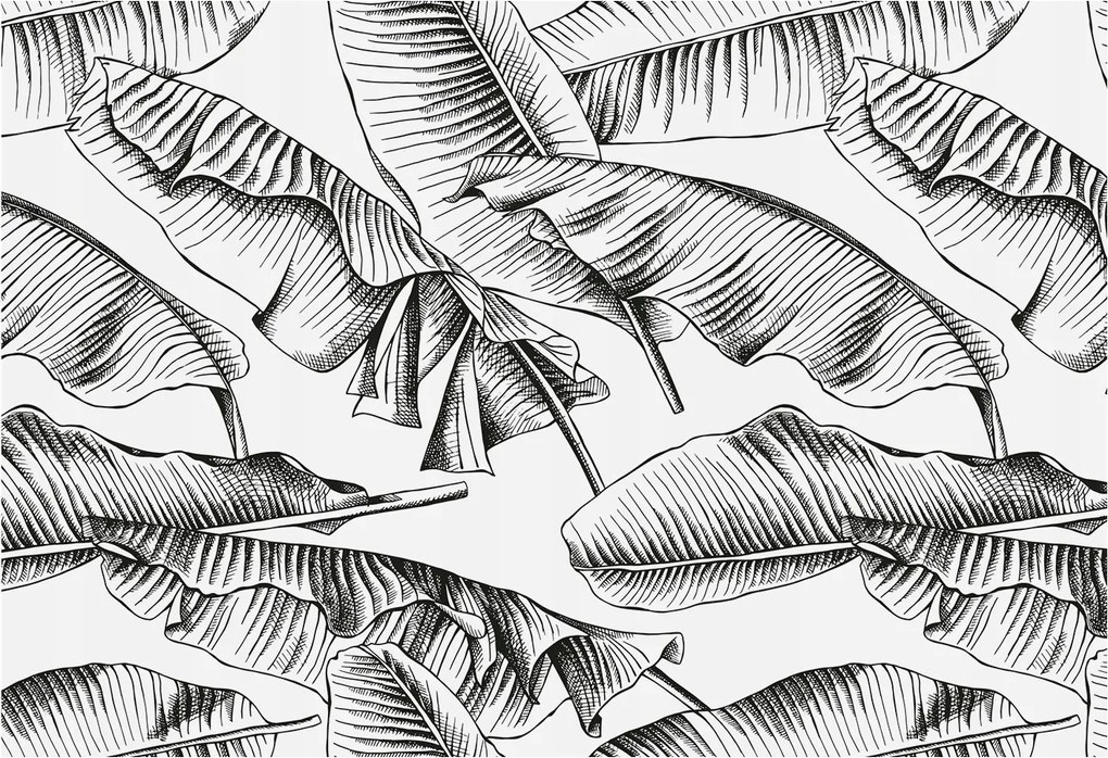 Divatos Flizelin Tapéta Ragasztóval Fali 3D Banán levelek 152x104 Ragasztó