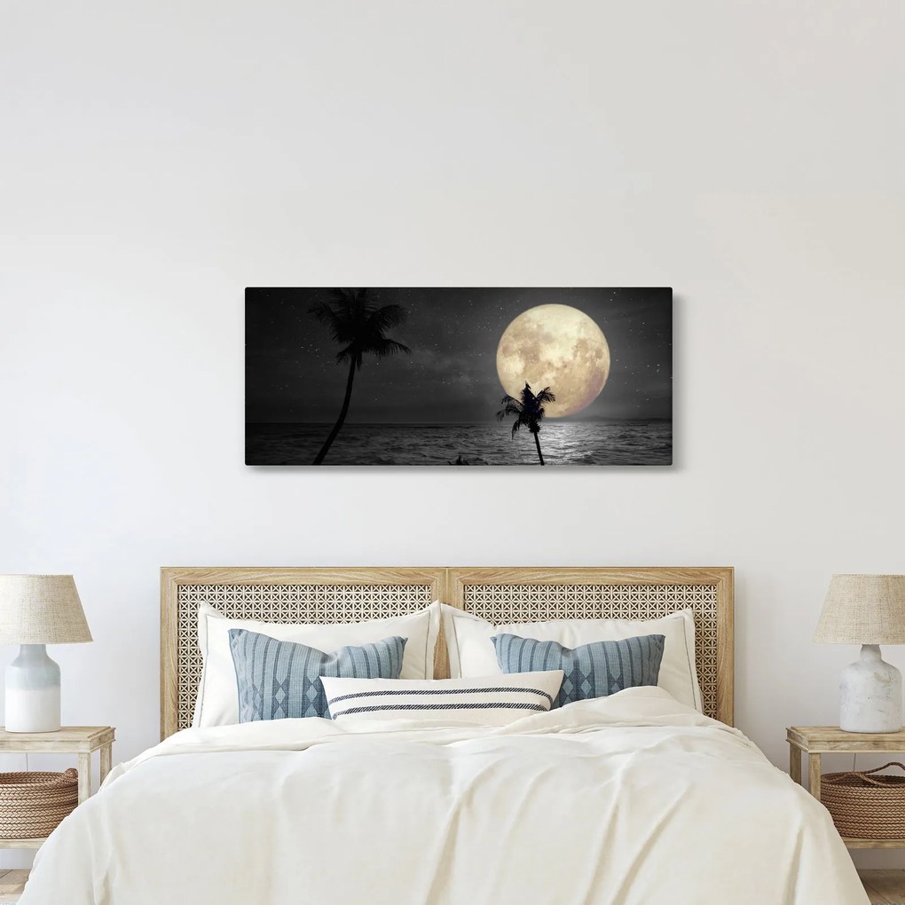 Kép - A strand a telihold alatt szürke tónusokkal (120x50 cm)