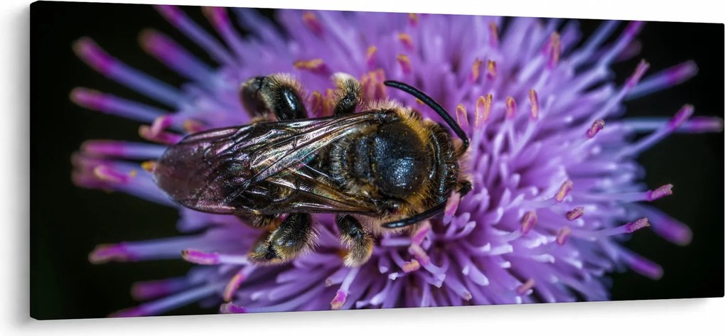 Méh a virágon képe (120x50 cm)