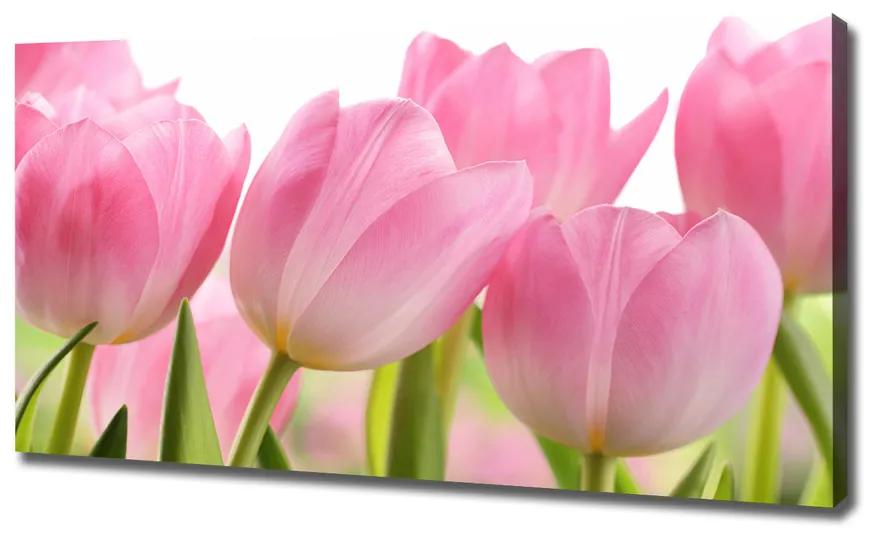 Egyedi vászonkép Rózsaszín tulipánok pl-oc-120x60-f-76775867