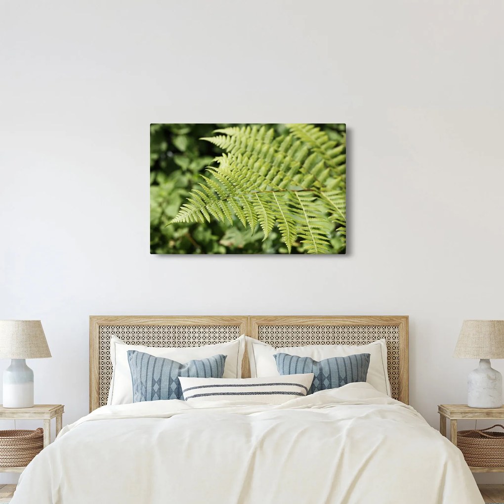 Kép - Páfránylevél (90x60 cm)