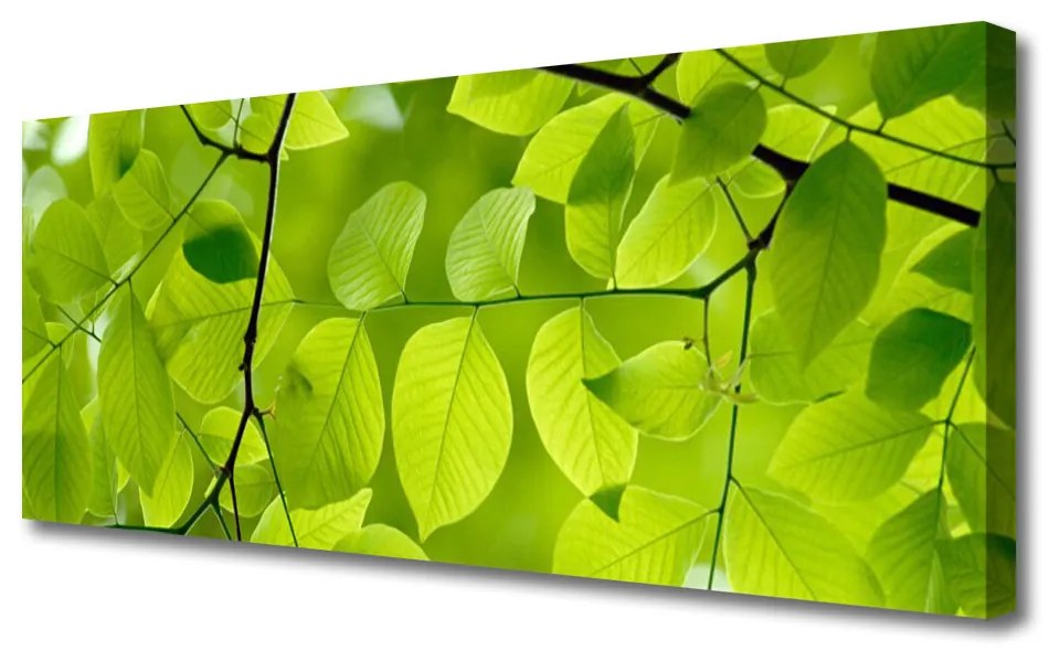 Vászonkép falra Elhagyja Plant 140x70 cm