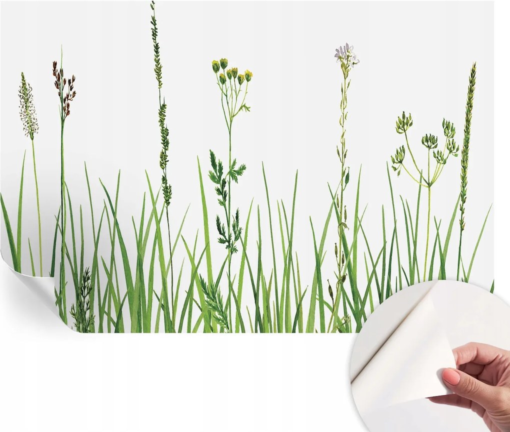 Fotótapéta Fali tapéta Hálószobába és Nappaliba Finom növényvilág 104x70 cm