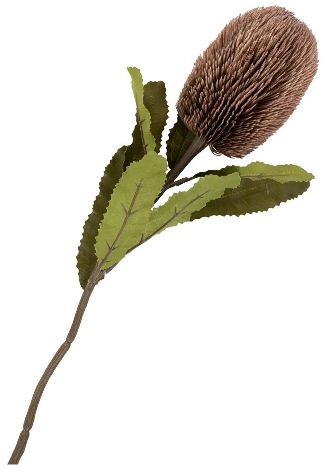Protea művirág csokor 65 cm