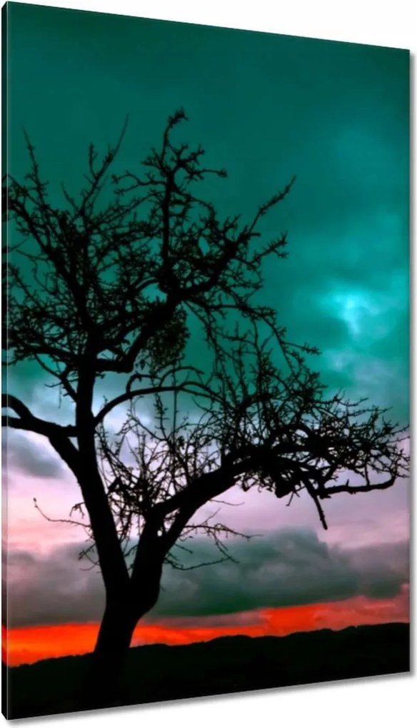 Vászonkép 80x120 Naplemente a sivatagban