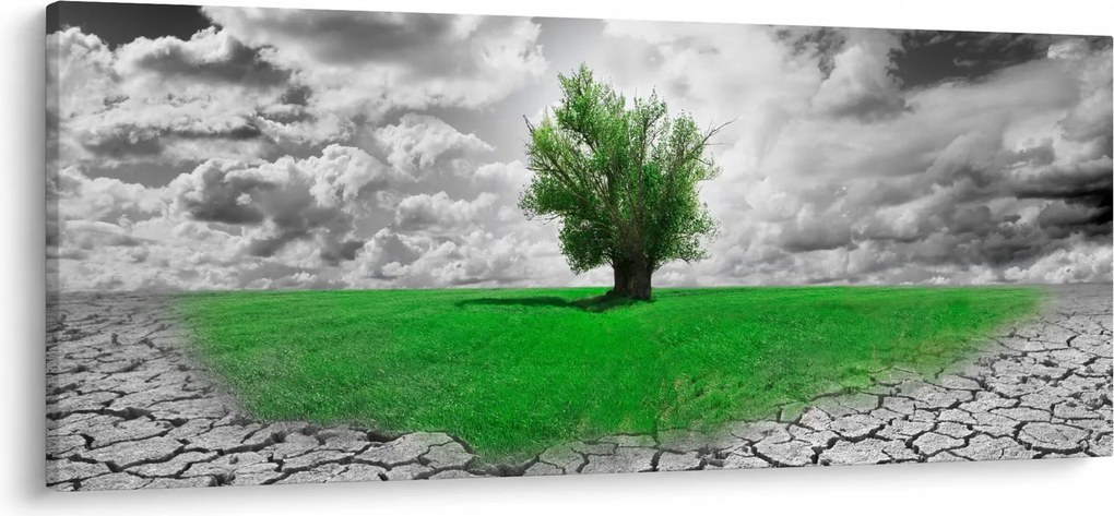 Kép - egy darab természet a városban (120x50 cm)