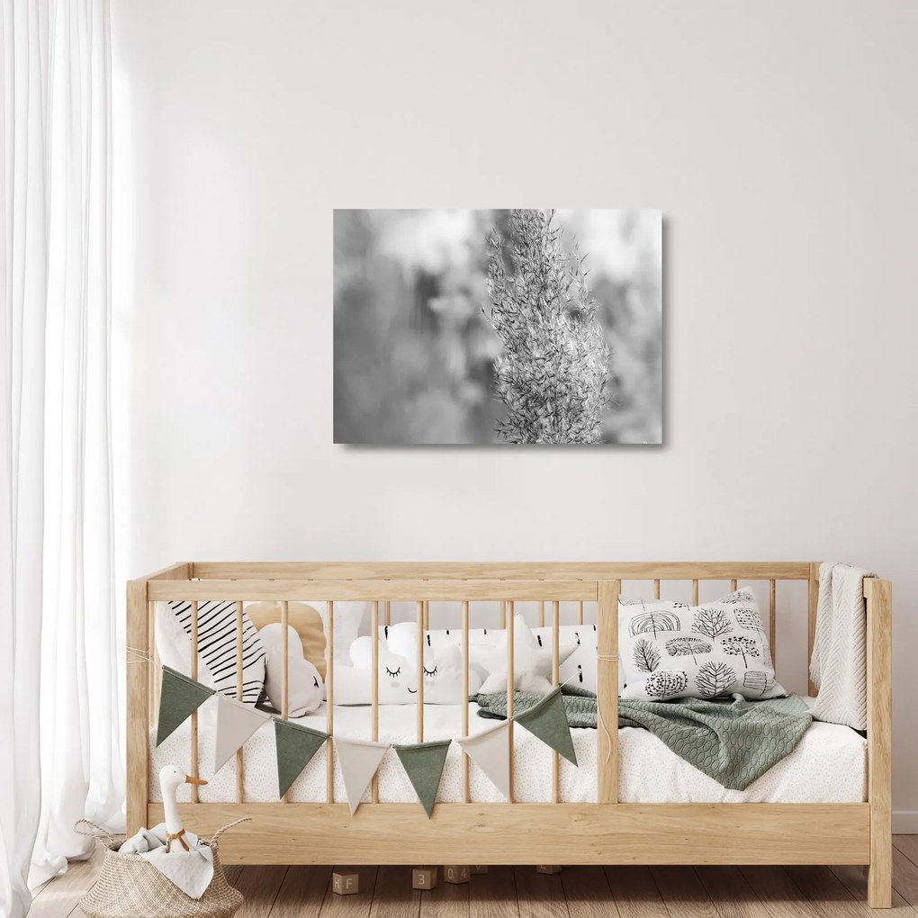 Üveg kép - Boho pampafű (70x50 cm)