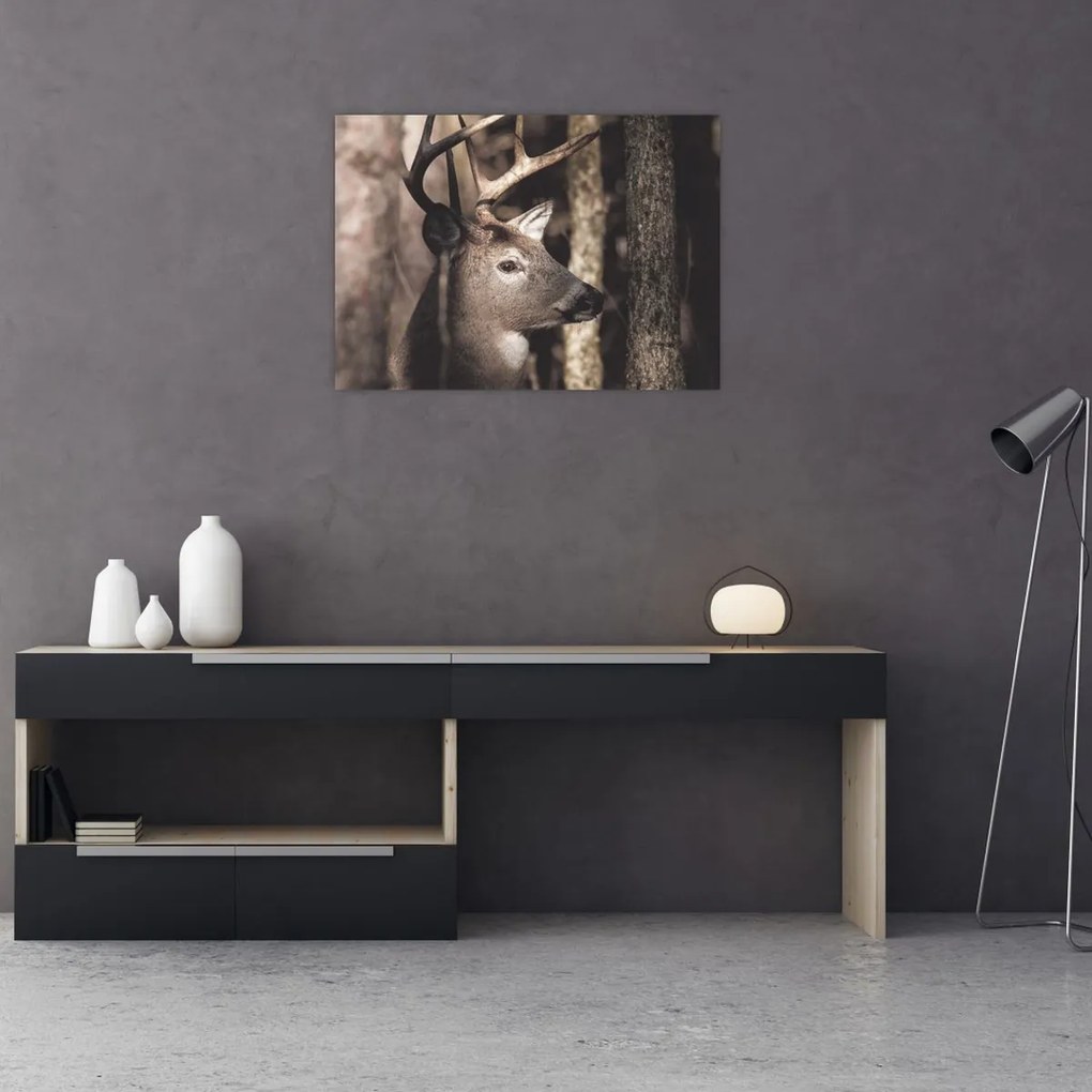 Kép - Szarvas az erdőben (70x50 cm)