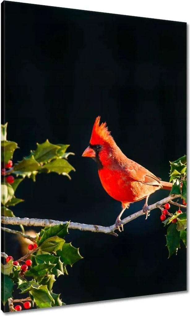 Vászonkép 70x100 Madarak