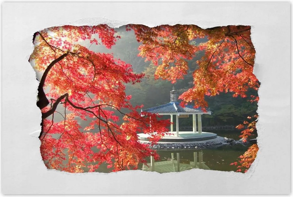 Poszterek 90x60 Őszi meditációk