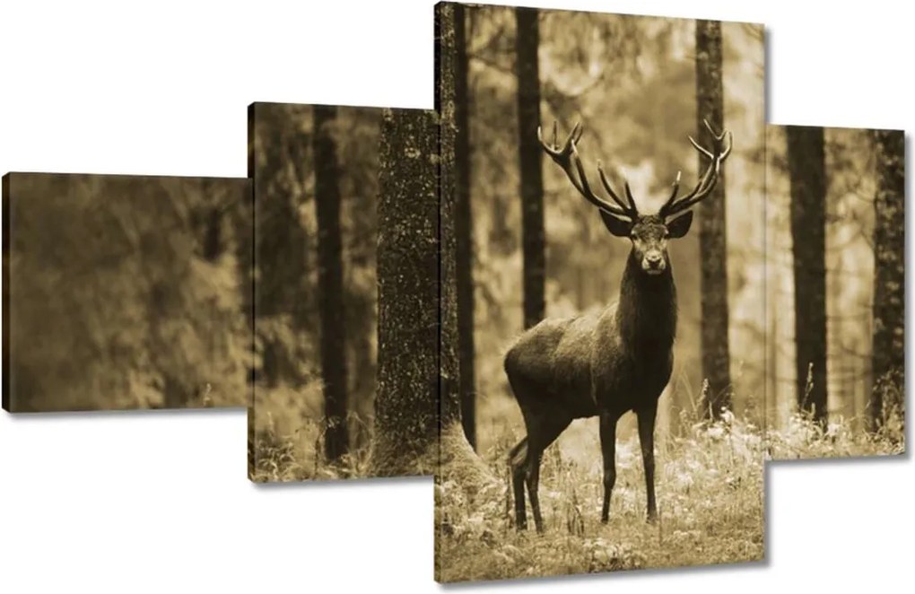 Képek 130x80 Szarvas a szépia erdőben