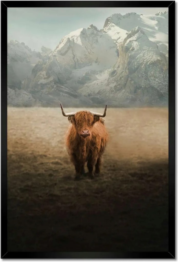 Poszterek keretben 40x60 Mint Szarvasmarha Szarvak