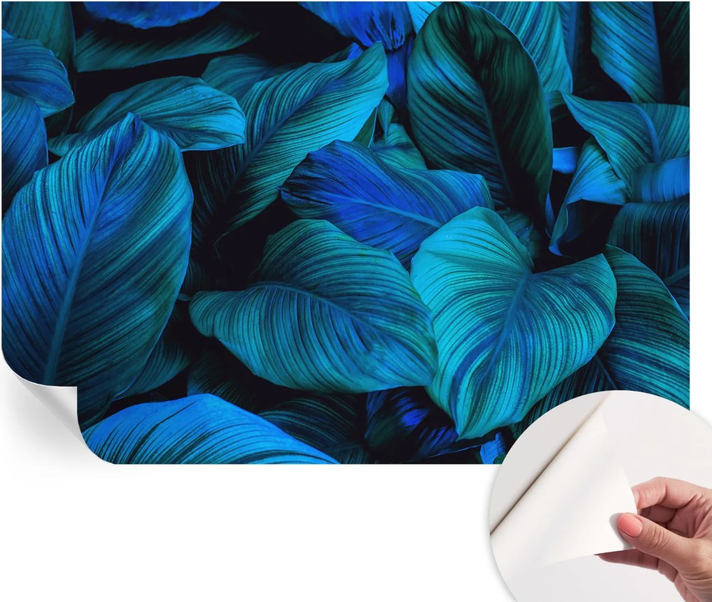 Dekoratív Öntapadós Tapéta Divatos Minták Kék levelek 104x70 cm