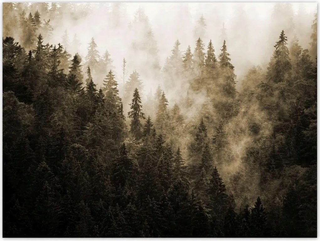 Poszterek 40x30 Tájkép Szépia Hegyek Köd