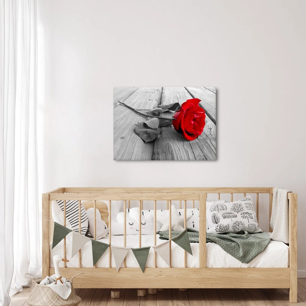 Egy vörös rózsa képe (70x50 cm)